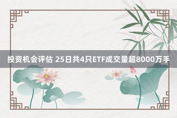 投资机会评估 25日共4只ETF成交量超8000万手