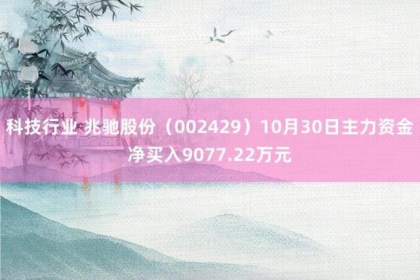 科技行业 兆驰股份（002429）10月30日主力资金净买入9077.22万元