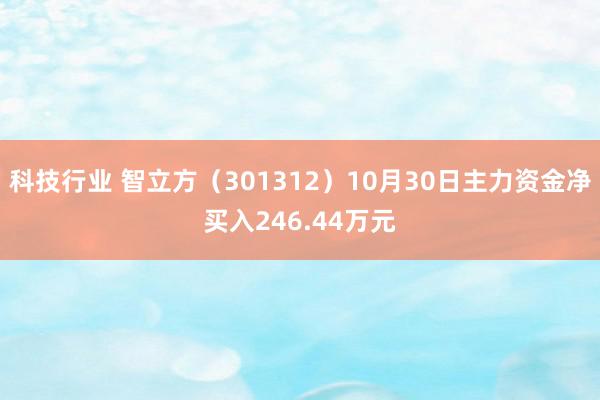 科技行业 智立方（301312）10月30日主力资金净买入246.44万元