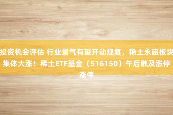 投资机会评估 行业景气有望开动规复，稀土永磁板块集体大涨！稀土ETF基金（516150）午后触及涨停