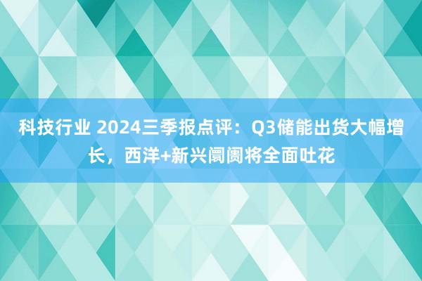 科技行业 2024三季报点评：Q3储能出货大幅增长，西洋+新兴阛阓将全面吐花