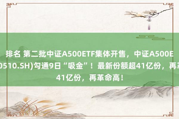 排名 第二批中证A500ETF集体开售，中证A500ETF(560510.SH)勾通9日“吸金”！最新份额超41亿份，再革命高！