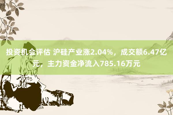 投资机会评估 沪硅产业涨2.04%，成交额6.47亿元，主力资金净流入785.16万元