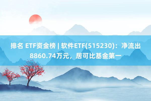 排名 ETF资金榜 | 软件ETF(515230)：净流出8860.74万元，居可比基金第一