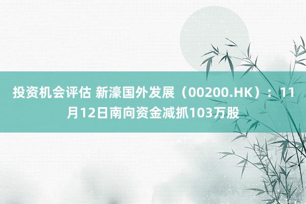 投资机会评估 新濠国外发展（00200.HK）：11月12日南向资金减抓103万股