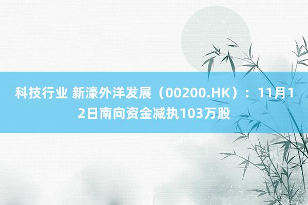 科技行业 新濠外洋发展（00200.HK）：11月12日南向资金减执103万股