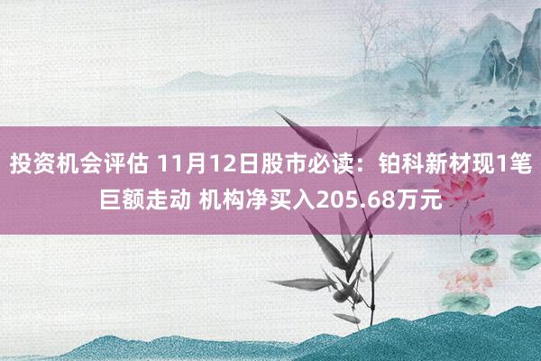 投资机会评估 11月12日股市必读：铂科新材现1笔巨额走动 机构净买入205.68万元