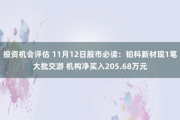 投资机会评估 11月12日股市必读：铂科新材现1笔大批交游 机构净买入205.68万元