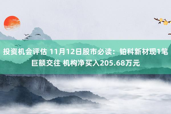 投资机会评估 11月12日股市必读：铂科新材现1笔巨额交往 机构净买入205.68万元