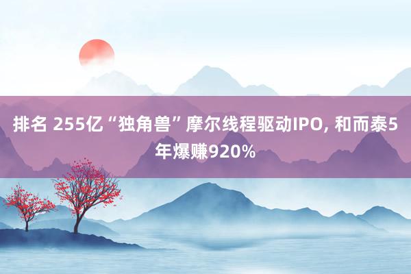 排名 255亿“独角兽”摩尔线程驱动IPO, 和而泰5年爆赚920%