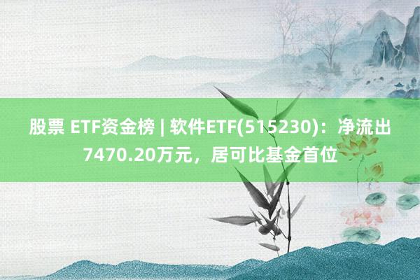 股票 ETF资金榜 | 软件ETF(515230)：净流出7470.20万元，居可比基金首位