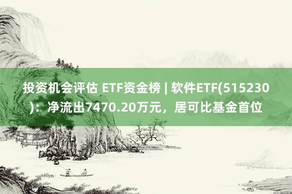 投资机会评估 ETF资金榜 | 软件ETF(515230)：净流出7470.20万元，居可比基金首位