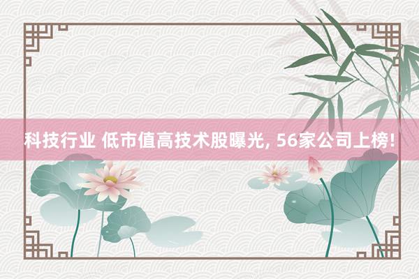 科技行业 低市值高技术股曝光, 56家公司上榜!