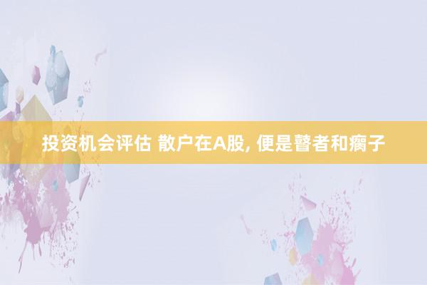 投资机会评估 散户在A股, 便是瞽者和瘸子