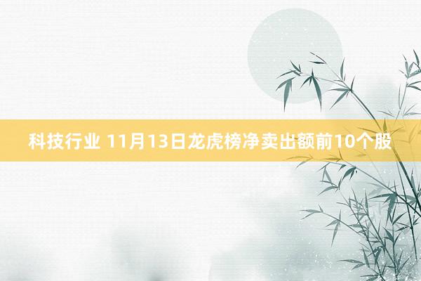 科技行业 11月13日龙虎榜净卖出额前10个股