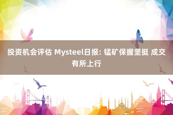 投资机会评估 Mysteel日报: 锰矿保握坚挺 成交有所上行