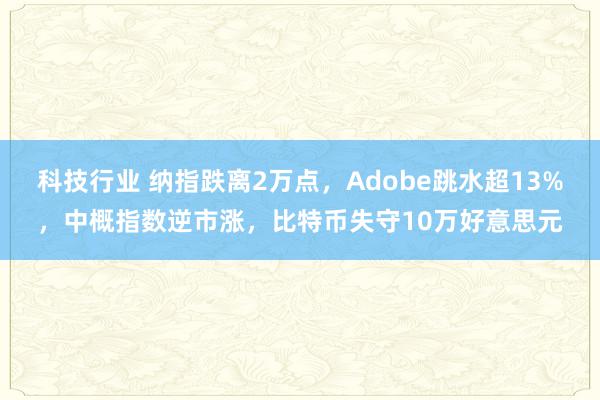 科技行业 纳指跌离2万点，Adobe跳水超13%，中概指数逆市涨，比特币失守10万好意思元