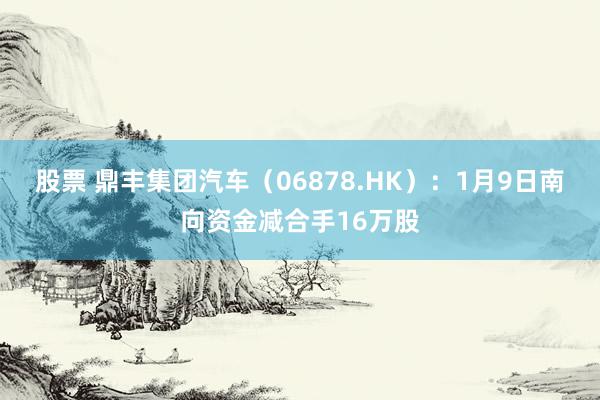 股票 鼎丰集团汽车（06878.HK）：1月9日南向资金减合手16万股