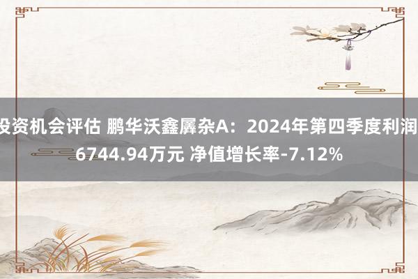 投资机会评估 鹏华沃鑫羼杂A：2024年第四季度利润-6744.94万元 净值增长率-7.12%