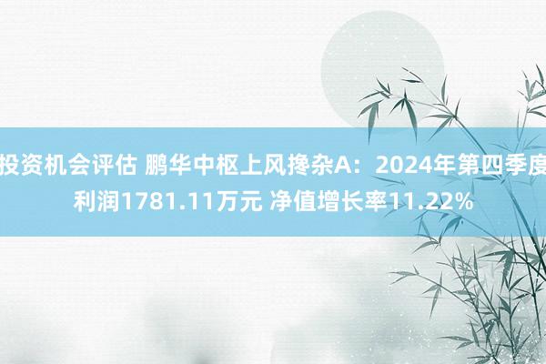 投资机会评估 鹏华中枢上风搀杂A：2024年第四季度利润1781.11万元 净值增长率11.22%