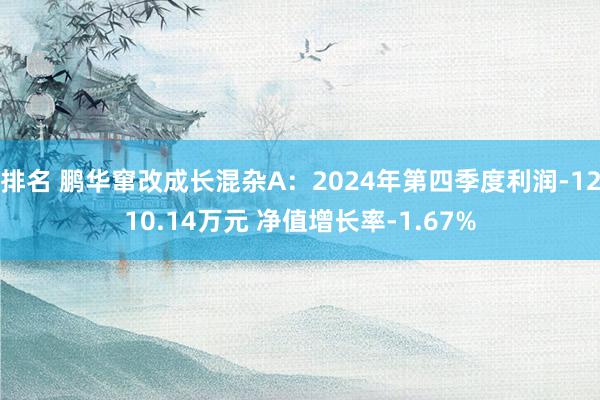 排名 鹏华窜改成长混杂A：2024年第四季度利润-1210.14万元 净值增长率-1.67%