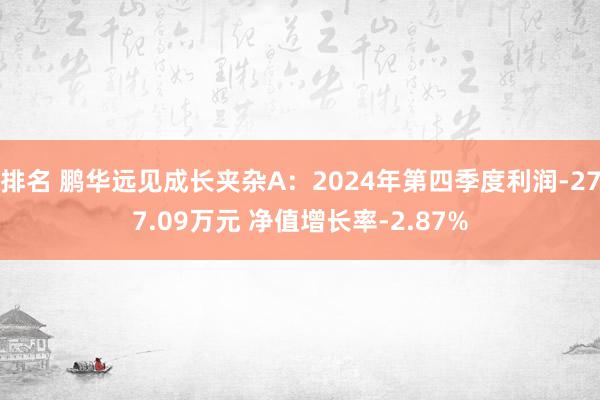 排名 鹏华远见成长夹杂A：2024年第四季度利润-277.09万元 净值增长率-2.87%