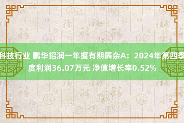 科技行业 鹏华招润一年握有期羼杂A：2024年第四季度利润36.07万元 净值增长率0.52%