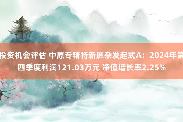 投资机会评估 中原专精特新羼杂发起式A：2024年第四季度利润121.03万元 净值增长率2.25%