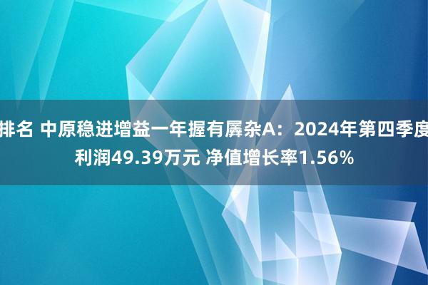 排名 中原稳进增益一年握有羼杂A：2024年第四季度利润49.39万元 净值增长率1.56%