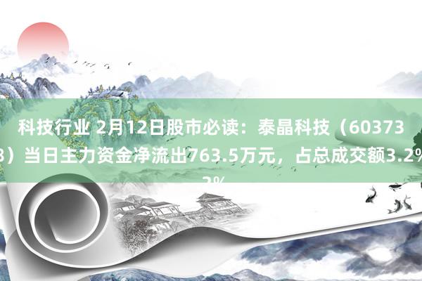 科技行业 2月12日股市必读：泰晶科技（603738）当日主力资金净流出763.5万元，占总成交额3.2%