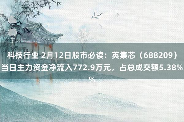 科技行业 2月12日股市必读：英集芯（688209）当日主力资金净流入772.9万元，占总成交额5.38%