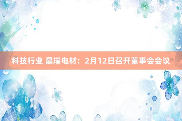 科技行业 晶瑞电材：2月12日召开董事会会议