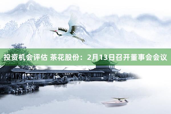 投资机会评估 茶花股份：2月13日召开董事会会议