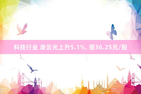 科技行业 凌云光上升5.1%, 报36.25元/股