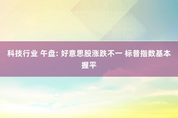 科技行业 午盘: 好意思股涨跌不一 标普指数基本握平