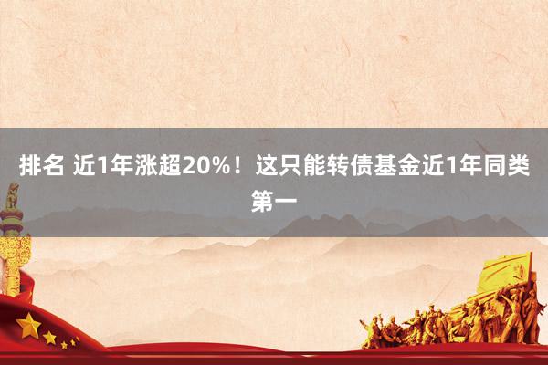 排名 近1年涨超20%！这只能转债基金近1年同类第一