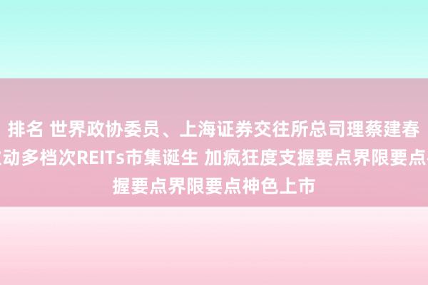 排名 世界政协委员、上海证券交往所总司理蔡建春：加速激动多档次REITs市集诞生 加疯狂度支握要点界限要点神色上市