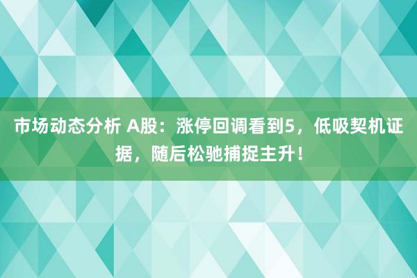 市场动态分析 A股：涨停回调看到5，低吸契机证据，随后松驰捕捉主升！